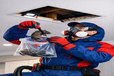 Ceiling Dead Animal Removal Northcote